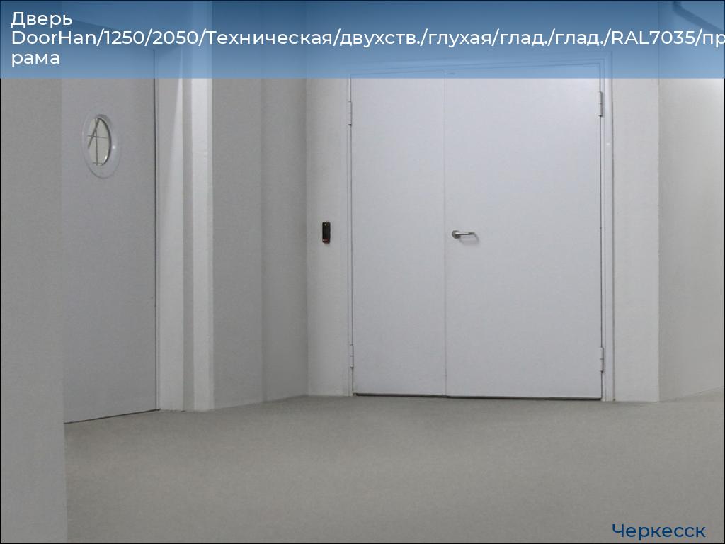 Дверь DoorHan/1250/2050/Техническая/двухств./глухая/глад./глад./RAL7035/прав./угл. рама, cherkessk.doorhan.ru