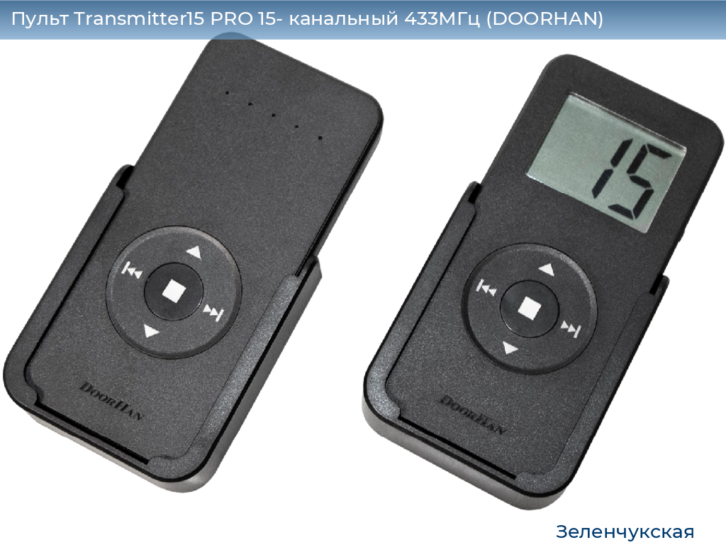 Пульт Transmitter15 PRO 15- канальный 433МГц (DOORHAN), zelenchukskaya.doorhan.ru