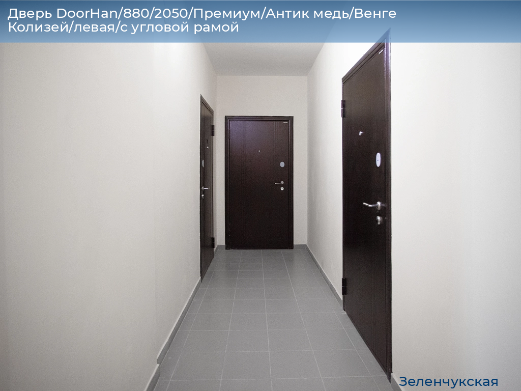 Дверь DoorHan/880/2050/Премиум/Антик медь/Венге Колизей/левая/с угловой рамой, zelenchukskaya.doorhan.ru