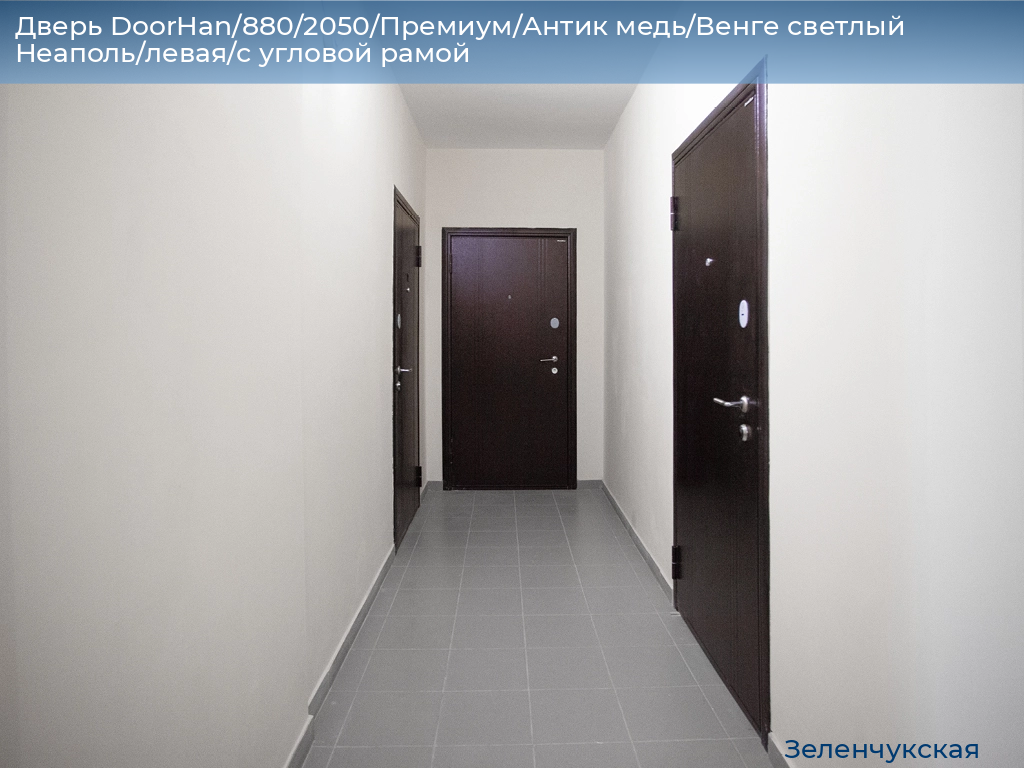 Дверь DoorHan/880/2050/Премиум/Антик медь/Венге светлый Неаполь/левая/с угловой рамой, zelenchukskaya.doorhan.ru