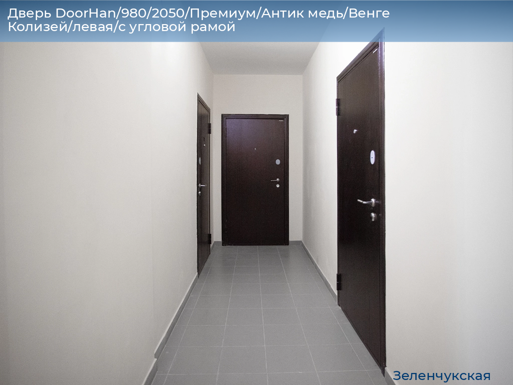 Дверь DoorHan/980/2050/Премиум/Антик медь/Венге Колизей/левая/с угловой рамой, zelenchukskaya.doorhan.ru