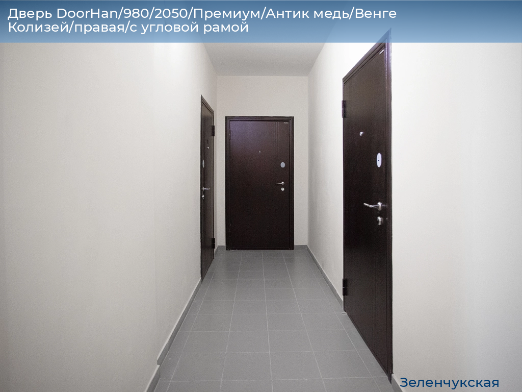 Дверь DoorHan/980/2050/Премиум/Антик медь/Венге Колизей/правая/с угловой рамой, zelenchukskaya.doorhan.ru