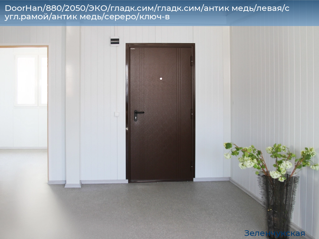 DoorHan/880/2050/ЭКО/гладк.сим/гладк.сим/антик медь/левая/с угл.рамой/антик медь/сереро/ключ-в, zelenchukskaya.doorhan.ru