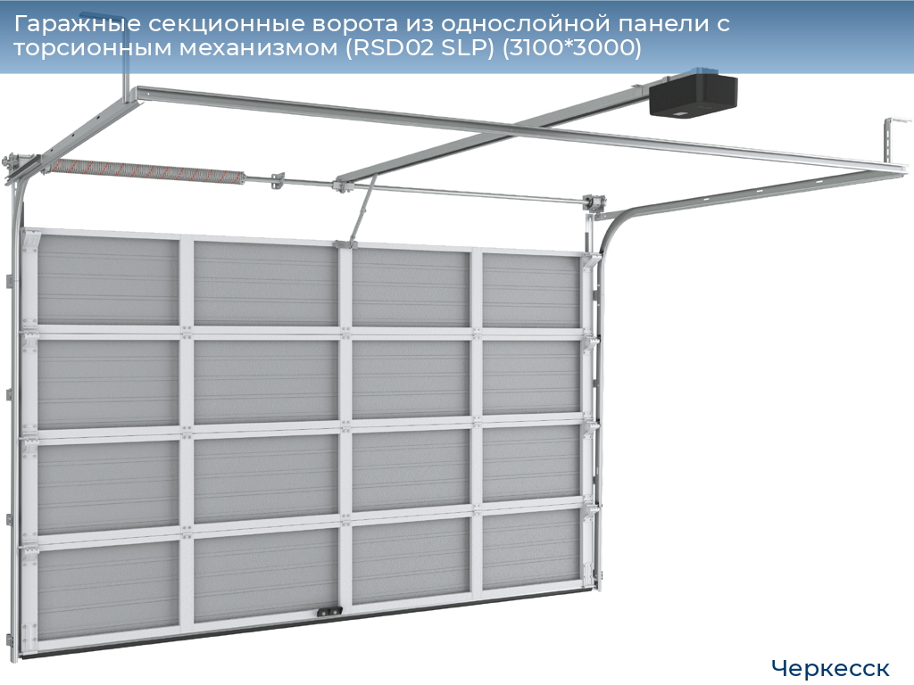 Гаражные секционные ворота из однослойной панели с торсионным механизмом (RSD02 SLP) (3100*3000), cherkessk.doorhan.ru