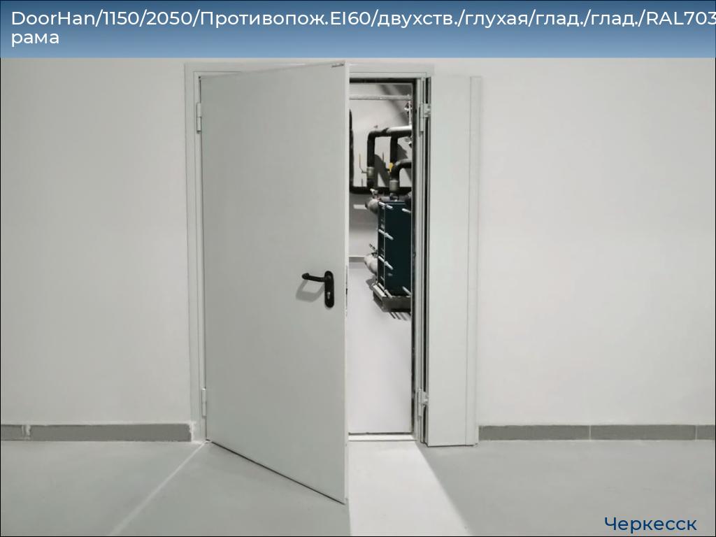 DoorHan/1150/2050/Противопож.EI60/двухств./глухая/глад./глад./RAL7035/лев./угл. рама, cherkessk.doorhan.ru