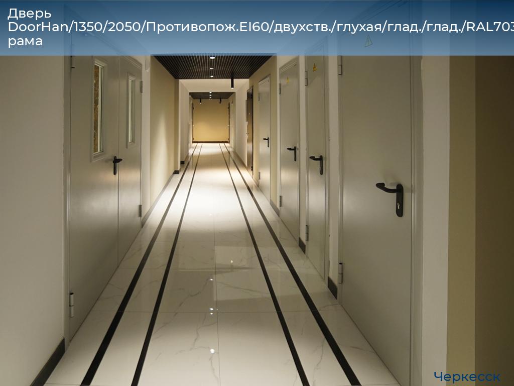 Дверь DoorHan/1350/2050/Противопож.EI60/двухств./глухая/глад./глад./RAL7035/прав./угл. рама, cherkessk.doorhan.ru
